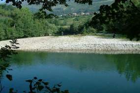 Arboretum de Panes, del entorno de Picos de Europa y del Oriente de Asturias